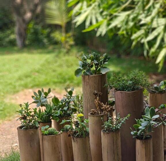 Пансион Golden Bamboo