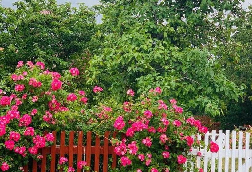 פנסיון Kristianopel Gästgifveri