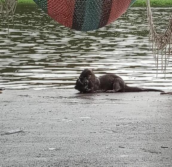 膳宿费 Princesa Del Rio