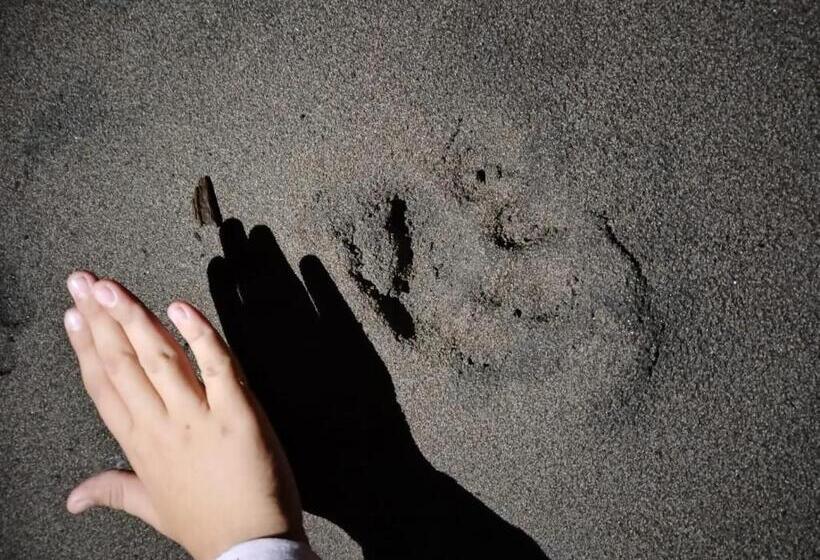 膳宿费 Princesa Del Rio