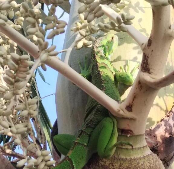 膳宿费 Princesa Del Rio