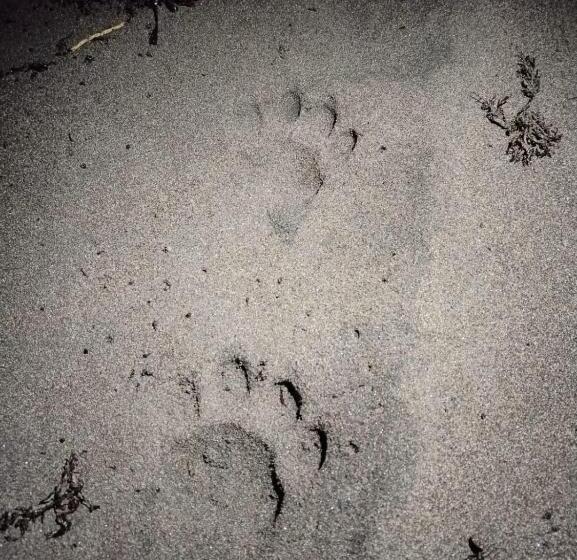 膳宿费 Princesa Del Rio