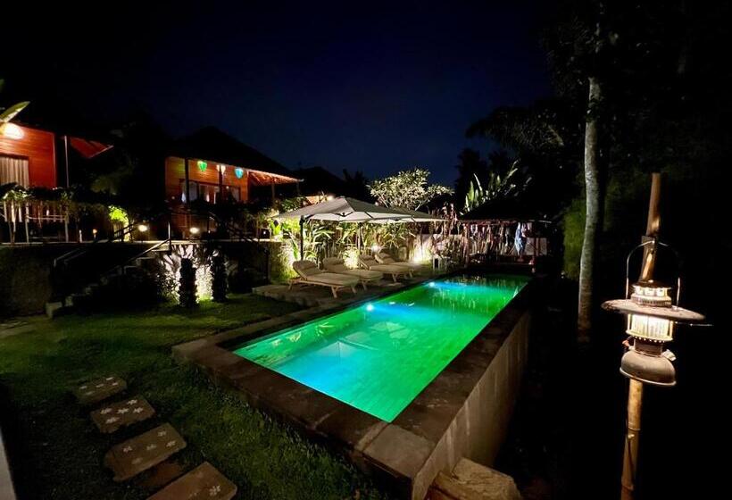 פנסיון Rumanero Bungalows #2