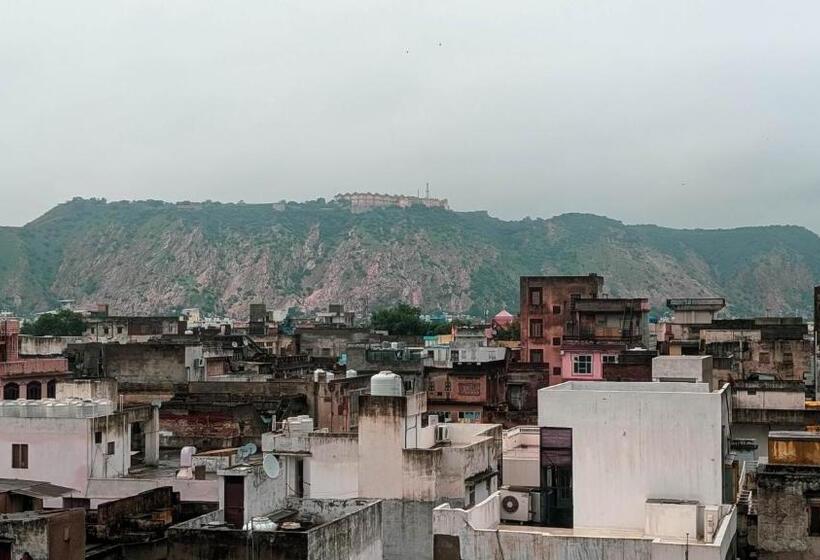 بنسيون The Pink Nest   Backpackers Abode