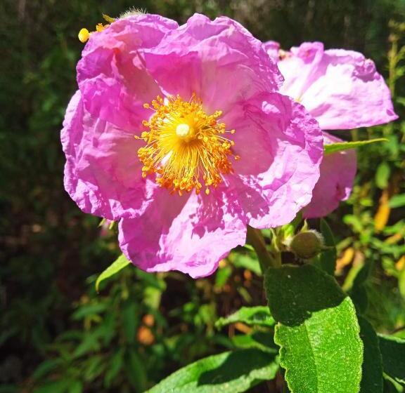 膳宿费 Un Jardin Al Mar