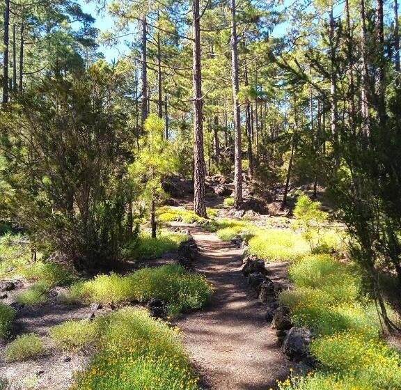 膳宿费 Un Jardin Al Mar