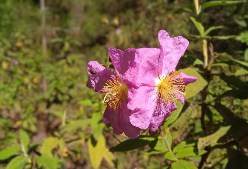 膳宿费 Un Jardin Al Mar