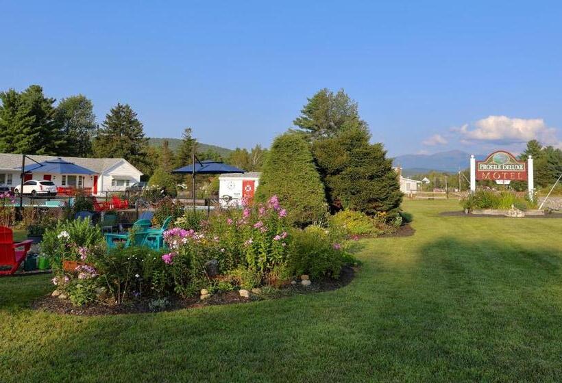 Profile Deluxe Motel
