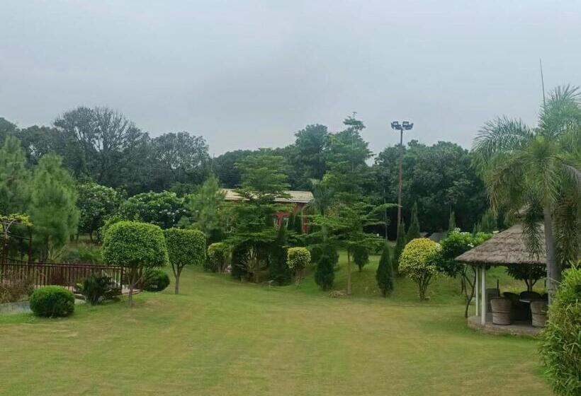 The Dream Forest Resort