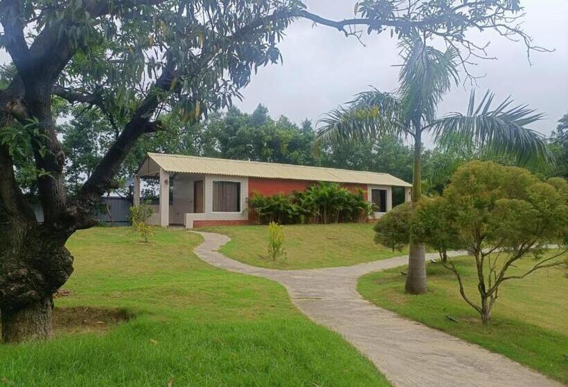 The Dream Forest Resort