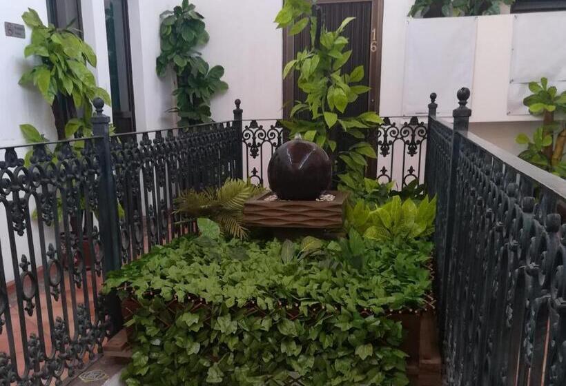 هاستل Posada Del Carmen