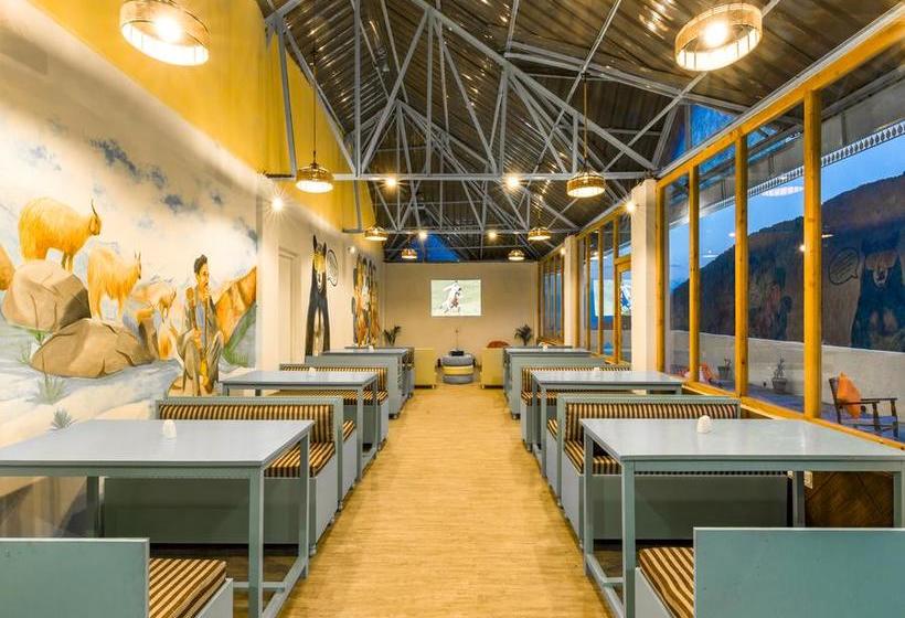 Общежитие Zostel Dalhousie