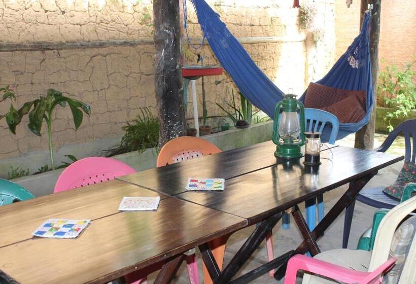 Arte Vida Hostel