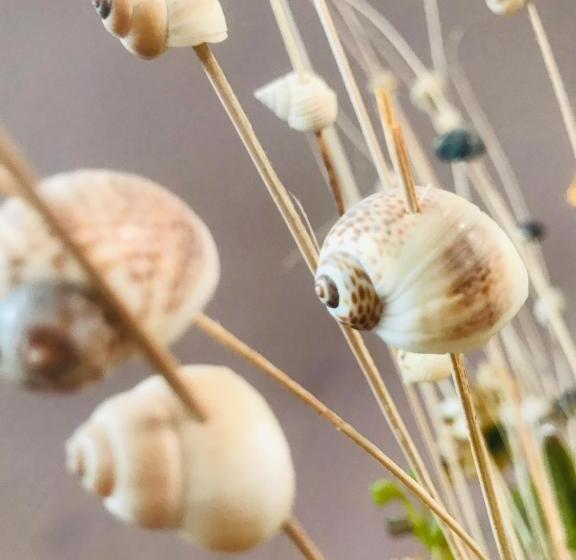 ベッドアンドブレックファースト Charming Rooms Opuntia