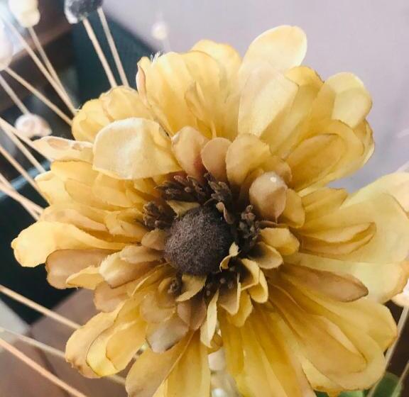 ベッドアンドブレックファースト Charming Rooms Opuntia