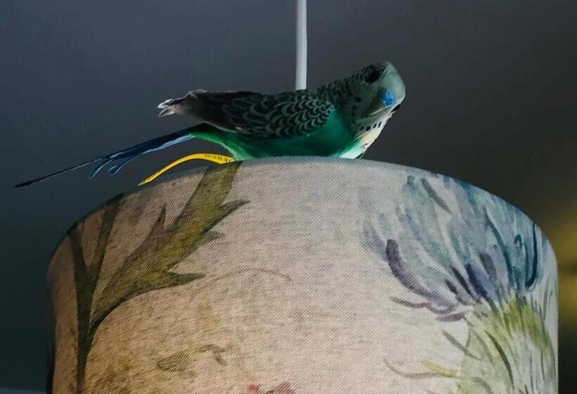 ベッドアンドブレックファースト Charming Rooms Opuntia