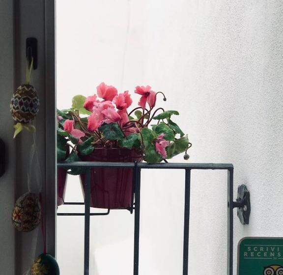 ベッドアンドブレックファースト Charming Rooms Opuntia