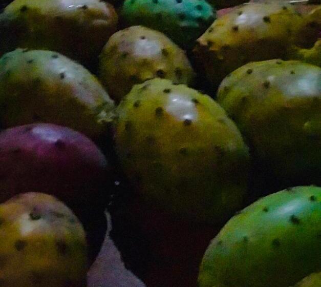 ベッドアンドブレックファースト Charming Rooms Opuntia