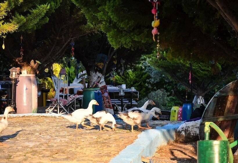 צימר Kaymak Tepesi Tatil Evi