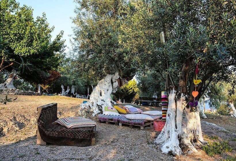 צימר Kaymak Tepesi Tatil Evi