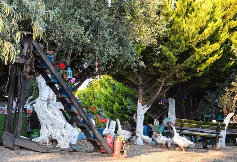 צימר Kaymak Tepesi Tatil Evi