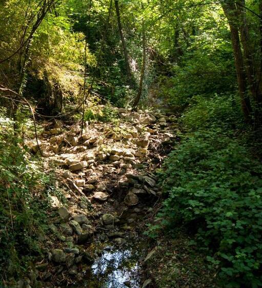 ベッドアンドブレックファースト Secret Gardens