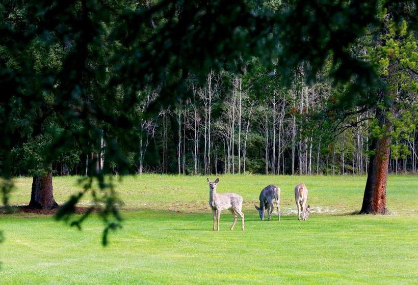 צימר Sleepy Creek Country Manor
