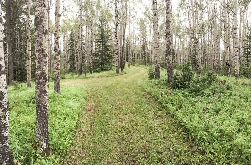 צימר Sleepy Creek Country Manor