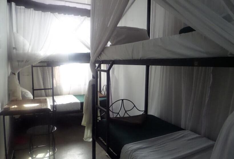 هتل Arusha Backpackers