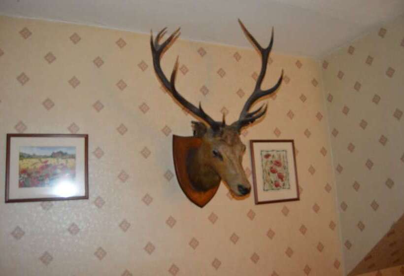 Отель Belgrave Arms