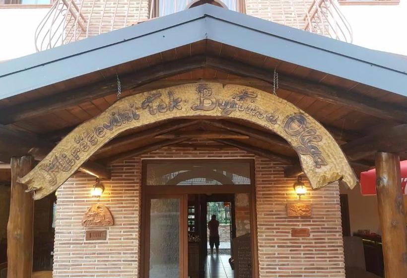 בית מלון כפרי Bujtina Ollga