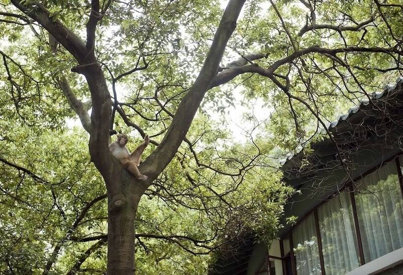 호텔 Guilin Crystal Crescent Moon