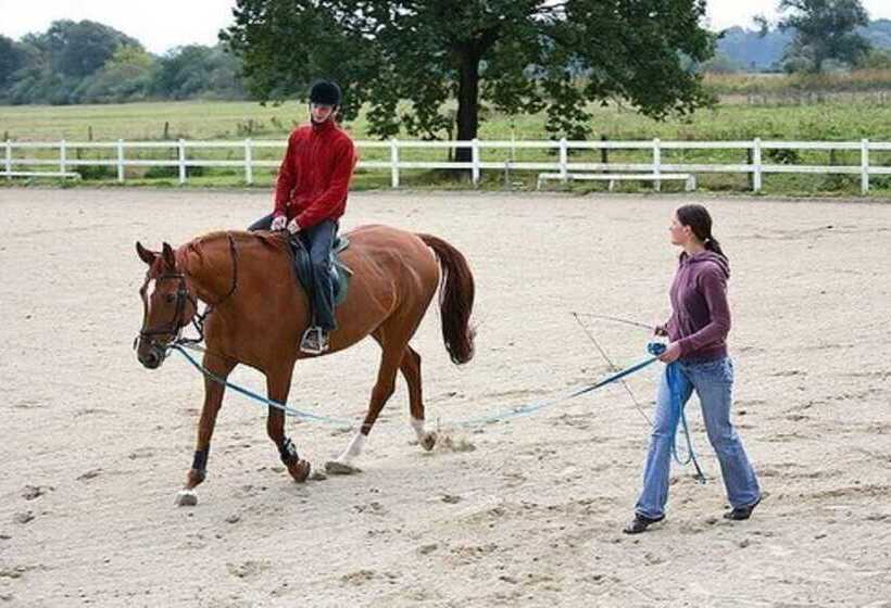 Отель La Bastide Du Logis Du Pin