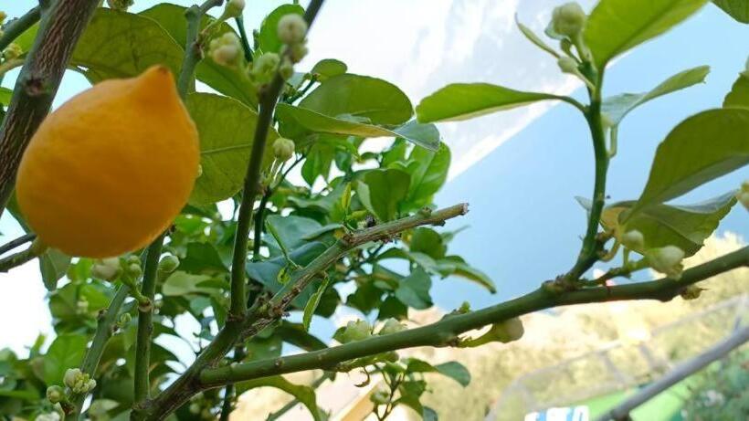 בית מלון כפרי La Terrazzina