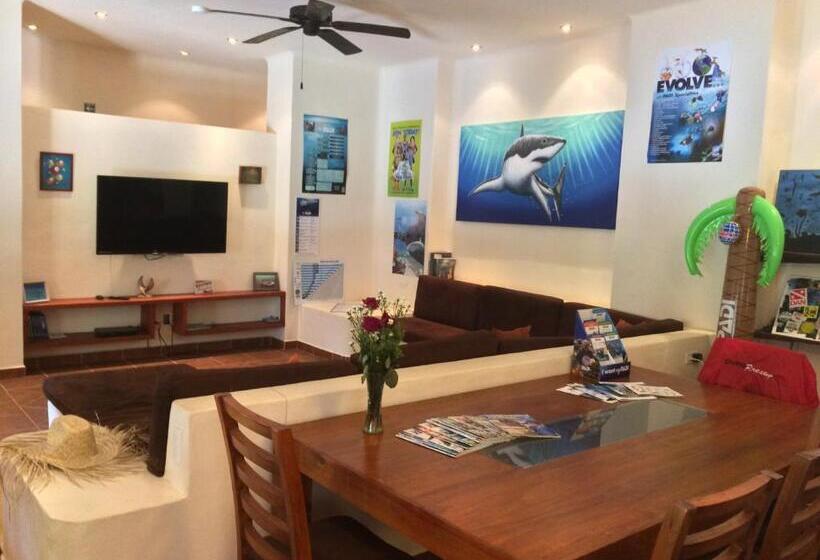 酒店 La Villa Mexicana By Diving Prestige