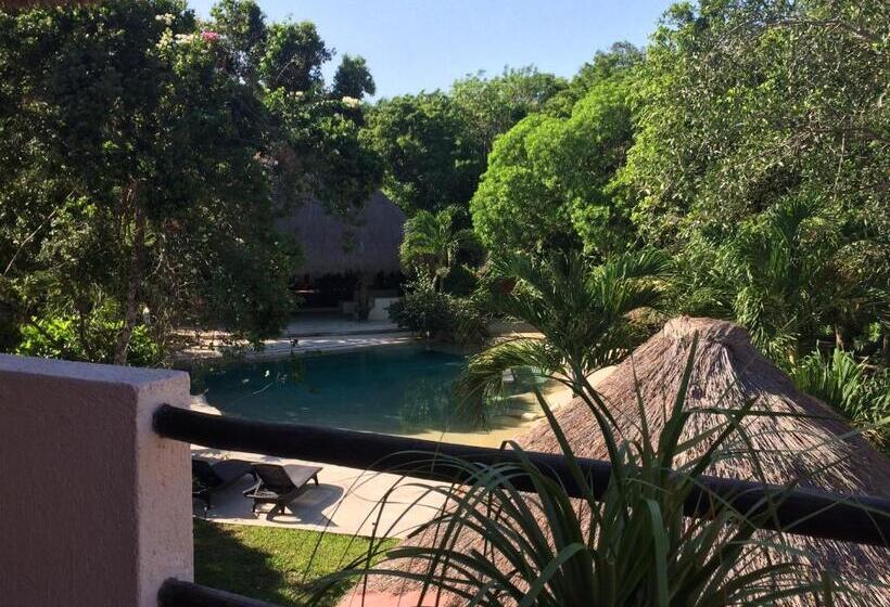 酒店 La Villa Mexicana By Diving Prestige