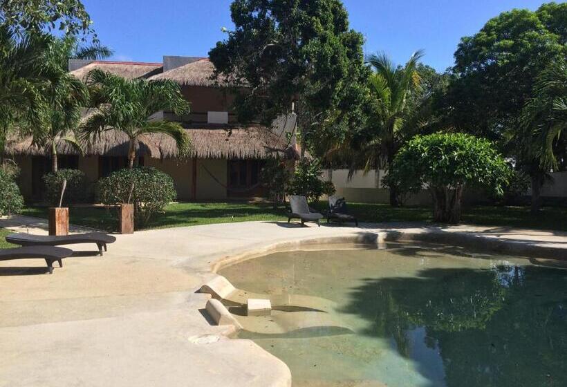 酒店 La Villa Mexicana By Diving Prestige