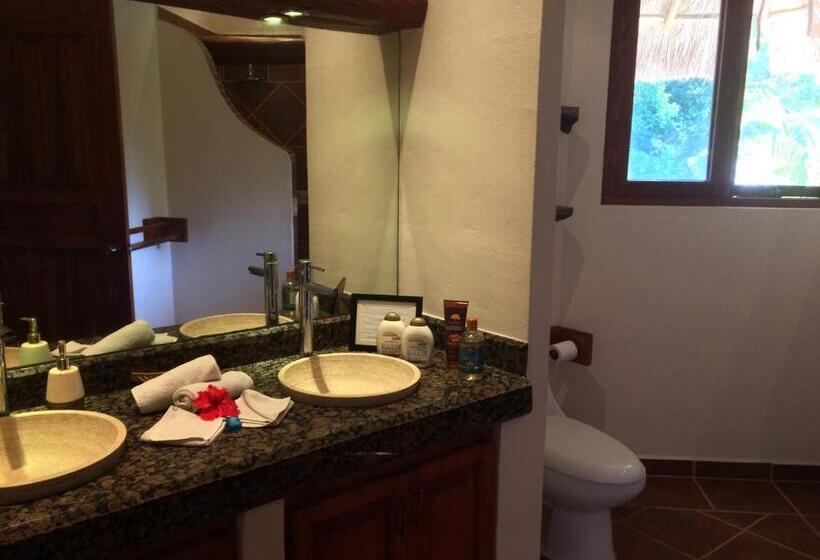 酒店 La Villa Mexicana By Diving Prestige