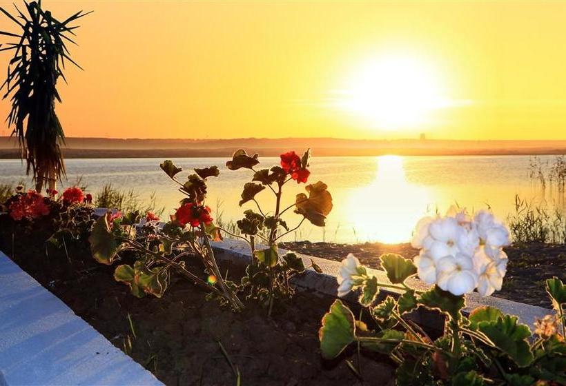 ホテル Scandinavia Mamaia