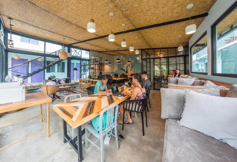 فندق Selina La Fortuna