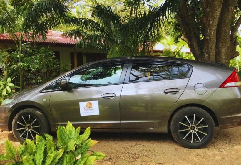 Отель Sigiriya Ranasinghe Nature Villa