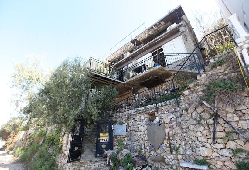 Hotel Vila  Oda E Miqve