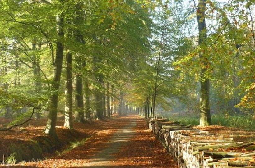 בית מלון כפרי Villa Magdalena Eeklo