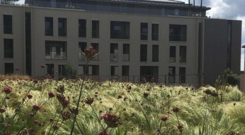 בית מלון כפרי Villa Maia