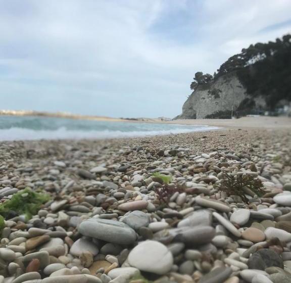 Lagarolina Del Conero B&b