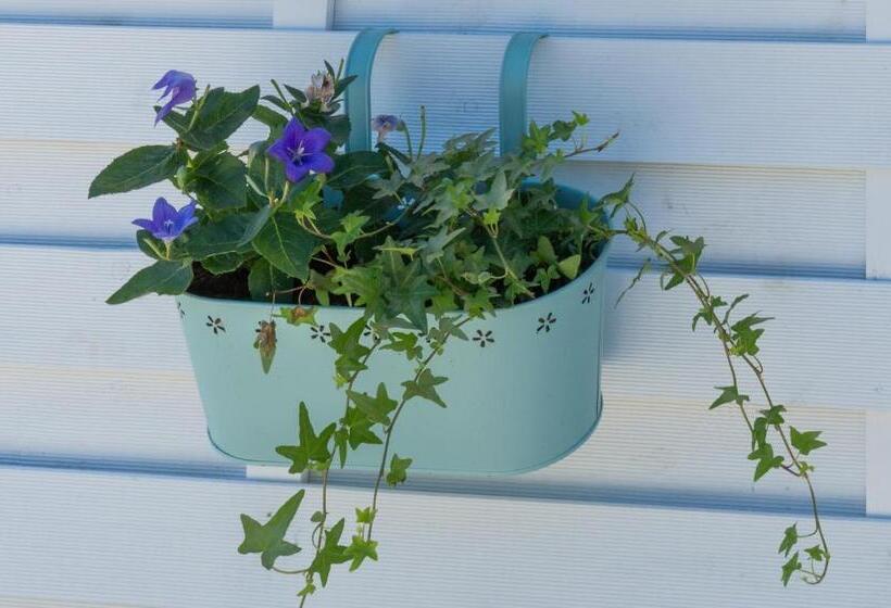 Lagarolina Del Conero B&b