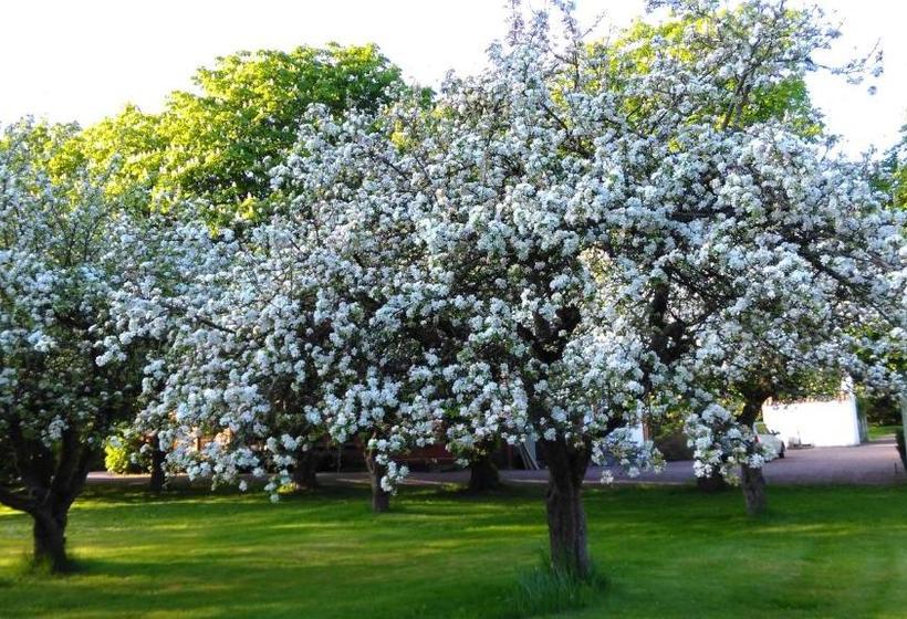 Minnesberg Bed & Breakfast