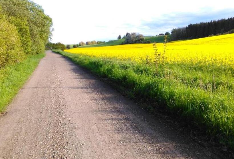 Minnesberg Bed & Breakfast