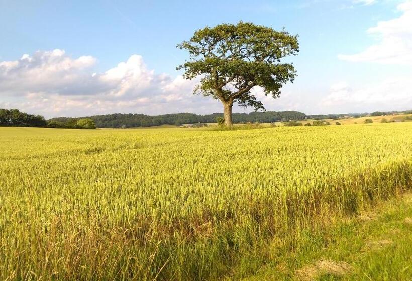 Minnesberg Bed & Breakfast