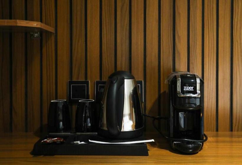 فندق الريان الفضي